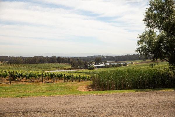 Audrey Wilkinson Vineyard Guest House Pokolbin Exterior foto