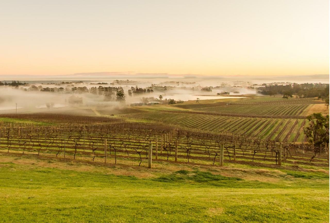 Audrey Wilkinson Vineyard Guest House Pokolbin Exterior foto